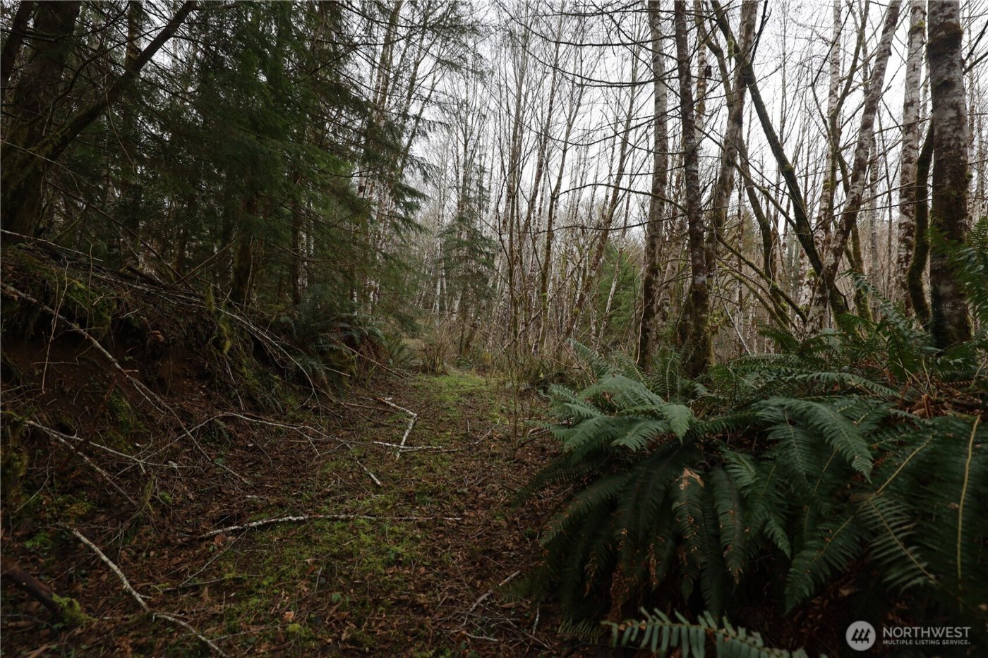 733 State Route 107 Highway , Montesano, WA 98563