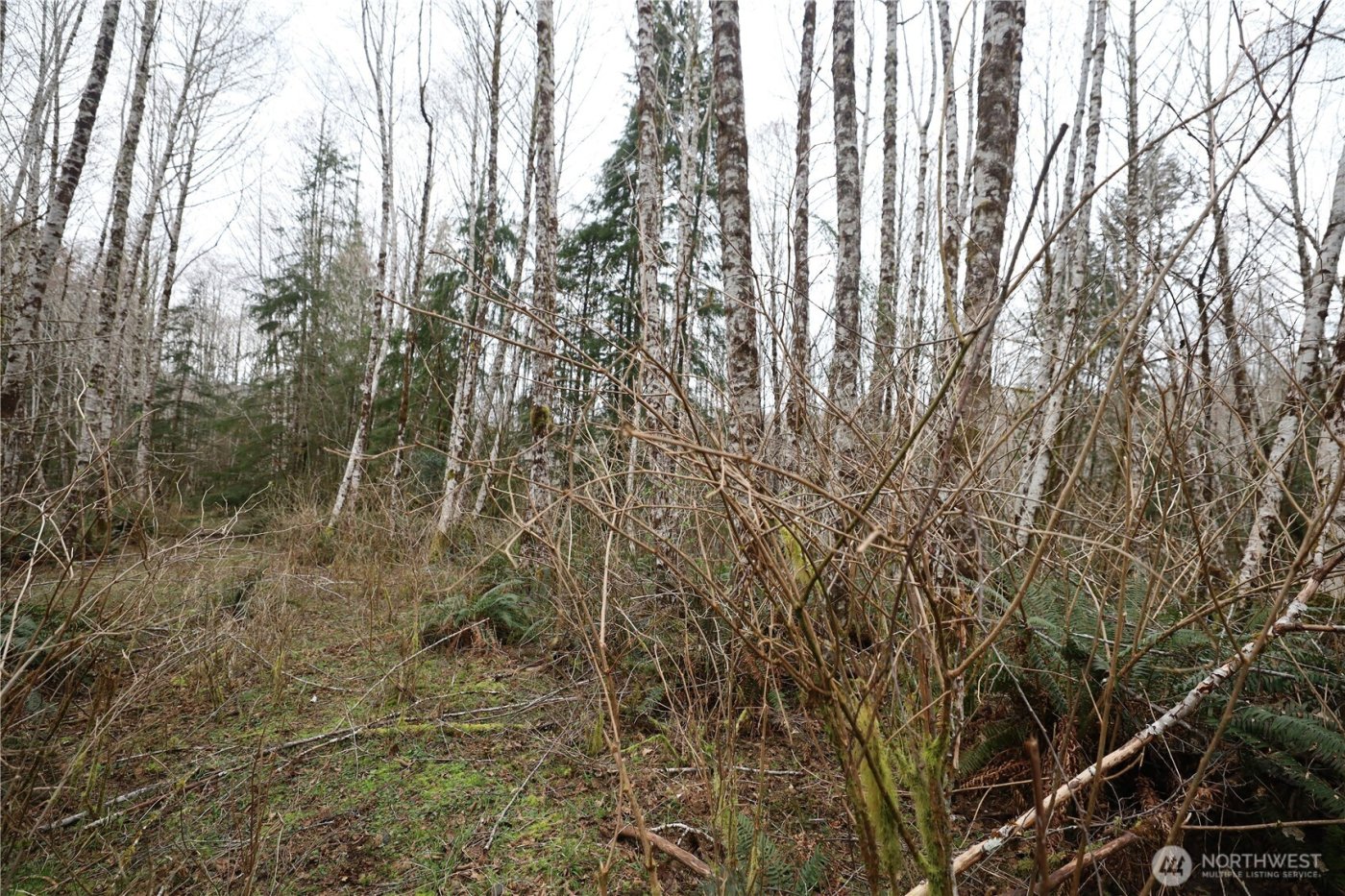 733 State Route 107 Highway , Montesano, WA 98563