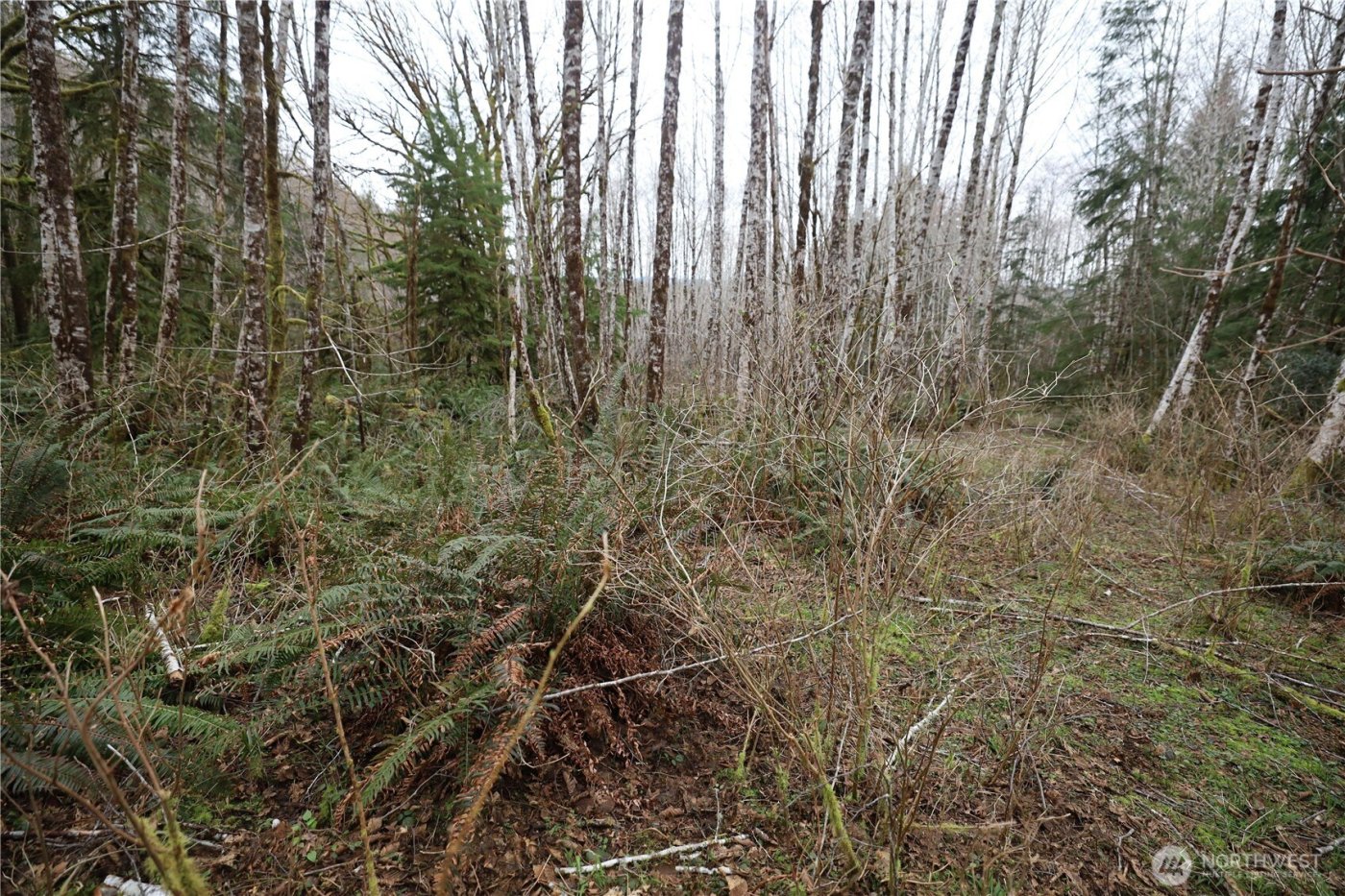 733 State Route 107 Highway , Montesano, WA 98563