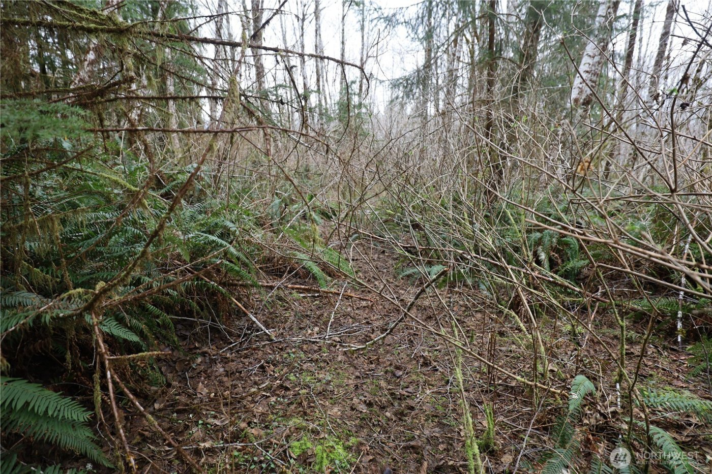 733 State Route 107 Highway , Montesano, WA 98563