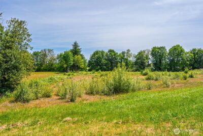 1601 Cooks Hill Road , Centralia, WA 98531 - Photo 6