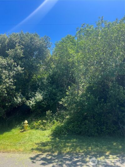 849 Hake Court SW, Ocean Shores, WA 98569