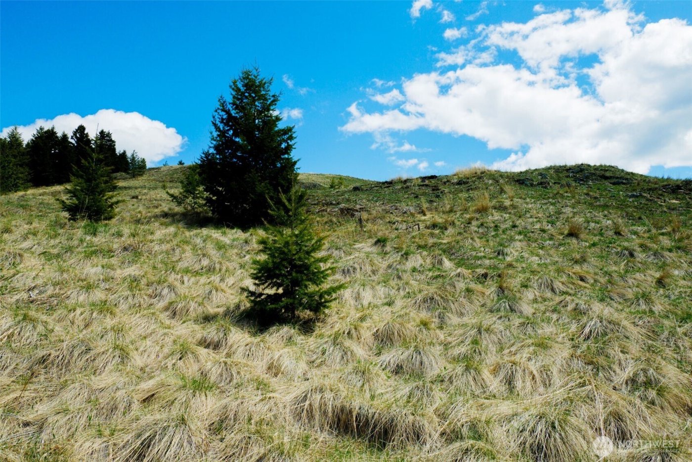 0 TBD Janet Marie Road , Oroville, WA 98844