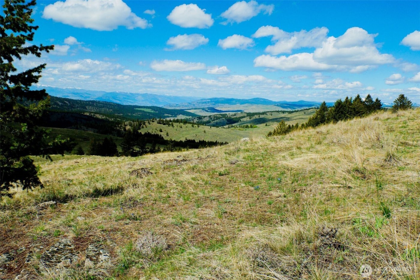 0 TBD Janet Marie Road , Oroville, WA 98844