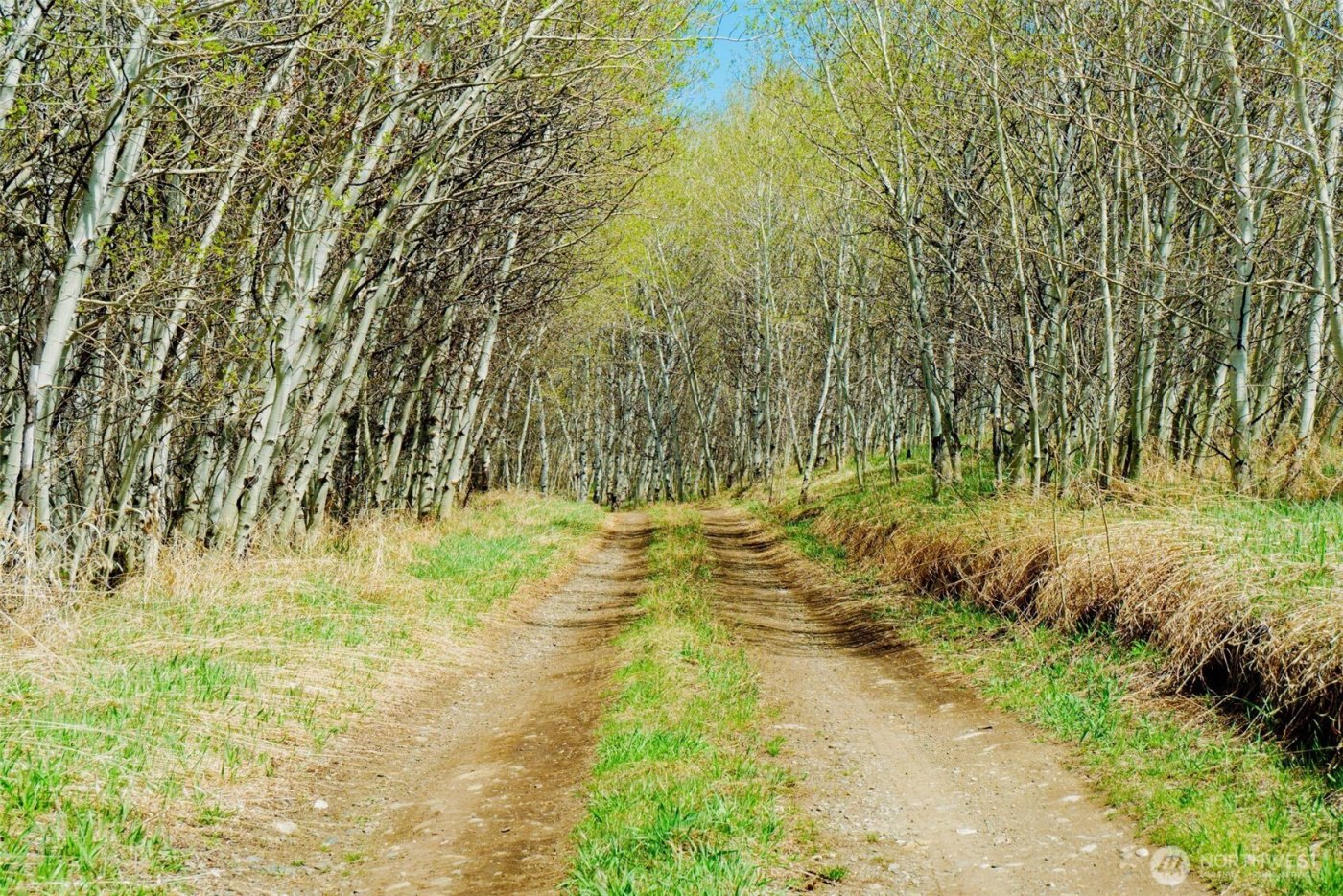 0 TBD Janet Marie Road , Oroville, WA 98844