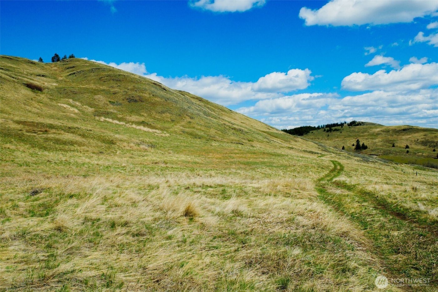 61 Janet Marie Road , Oroville, WA 98844