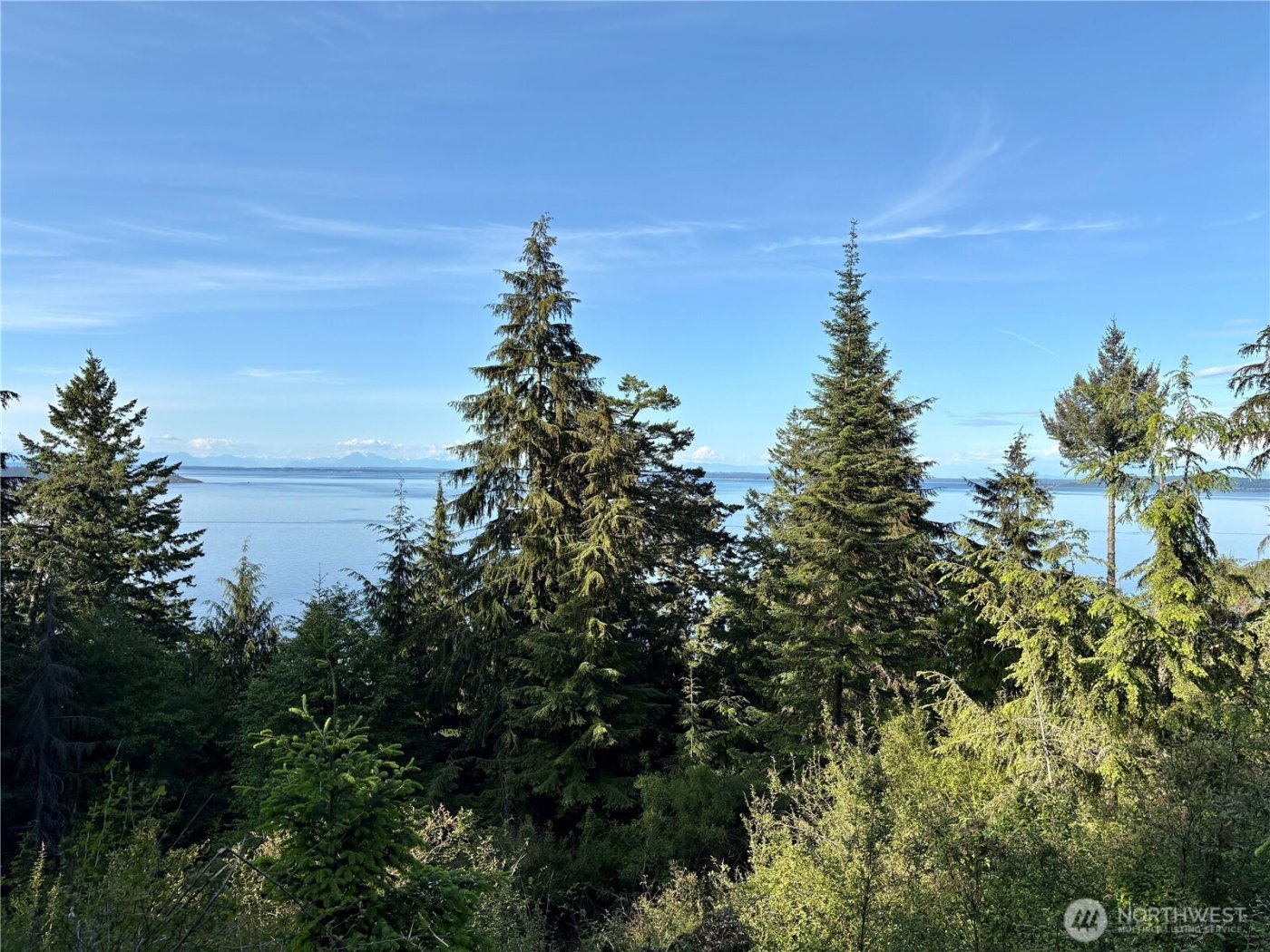 0 Raccoon Point Road #Lot 19, Orcas Island, WA 98245