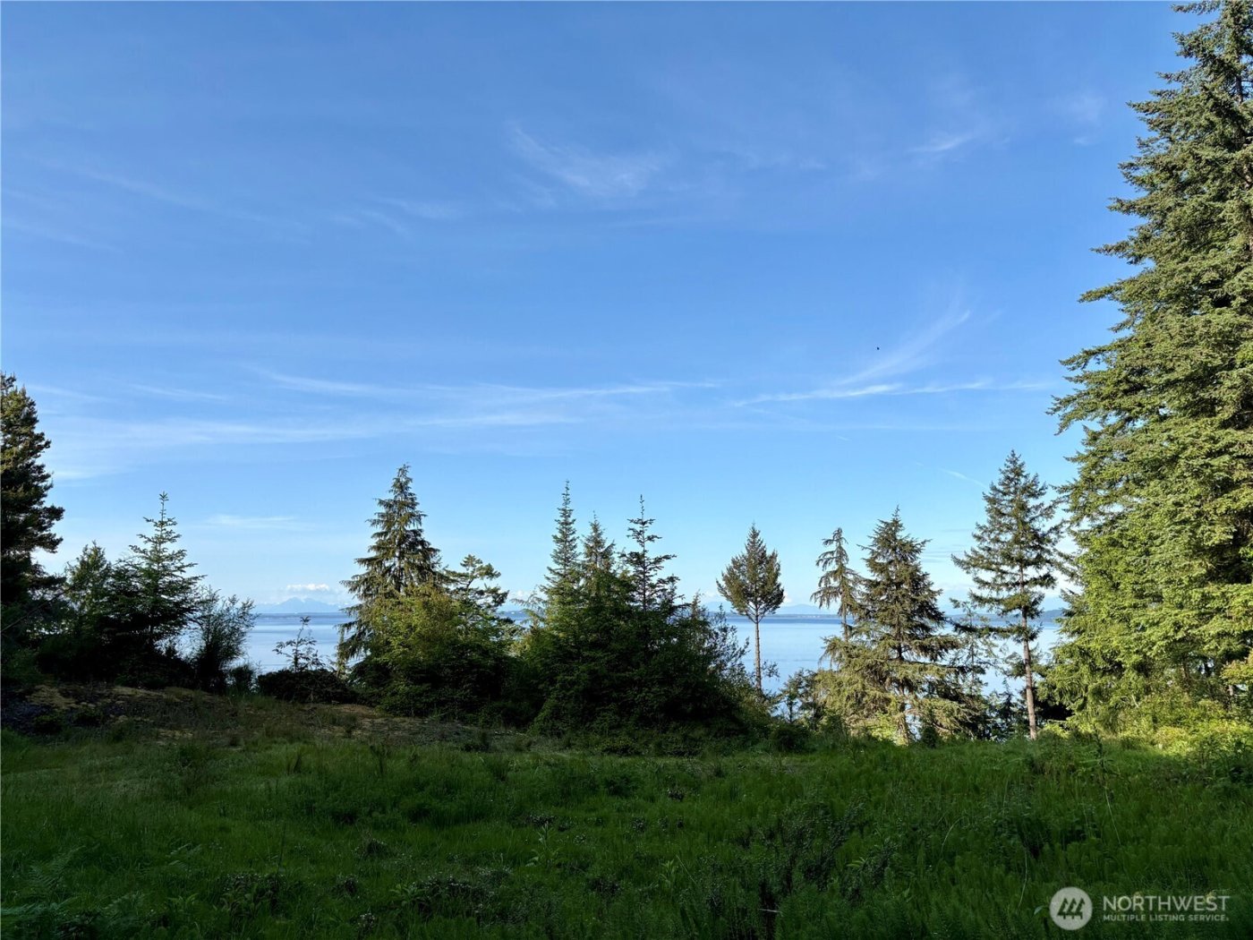 0 Raccoon Point Road #Lot 19, Orcas Island, WA 98245