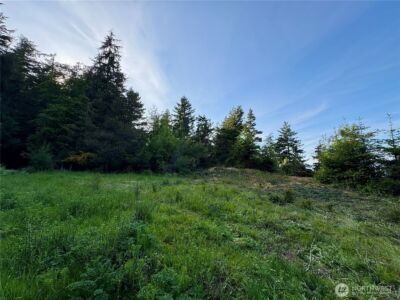 0 Raccoon Point Road #Lot 19, Orcas Island, WA 98245 - Photo 11