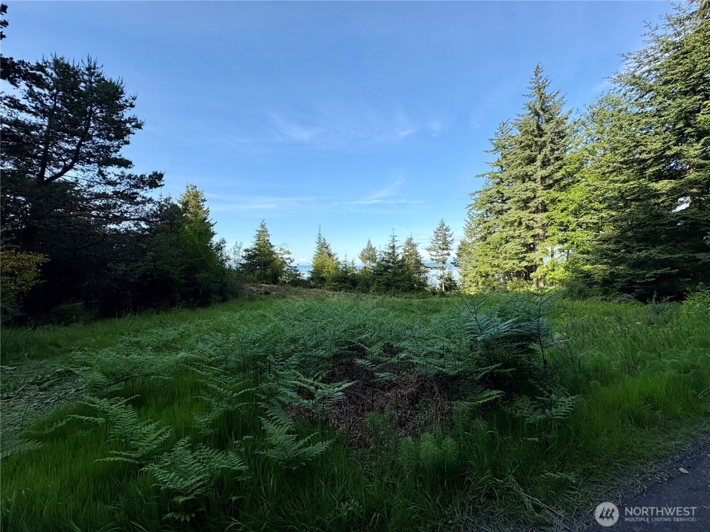 0 Raccoon Point Road #Lot 19, Orcas Island, WA 98245