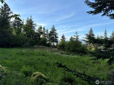 0 Raccoon Point Road #Lot 19, Orcas Island, WA 98245 - Photo 14
