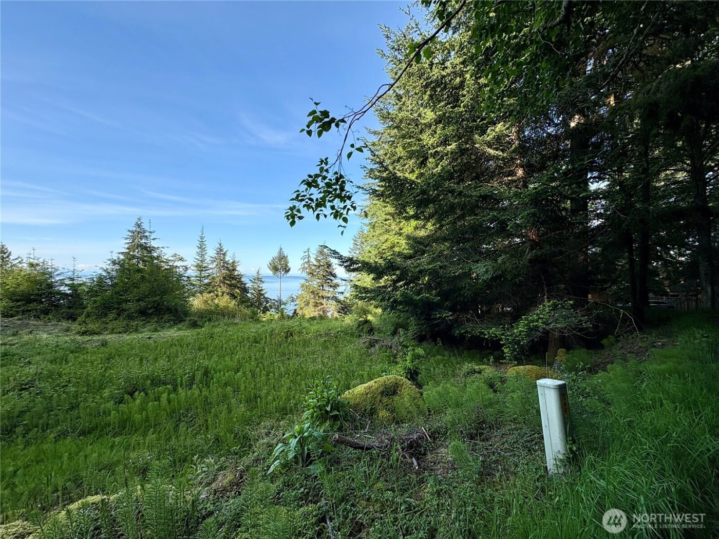 0 Raccoon Point Road #Lot 19, Orcas Island, WA 98245