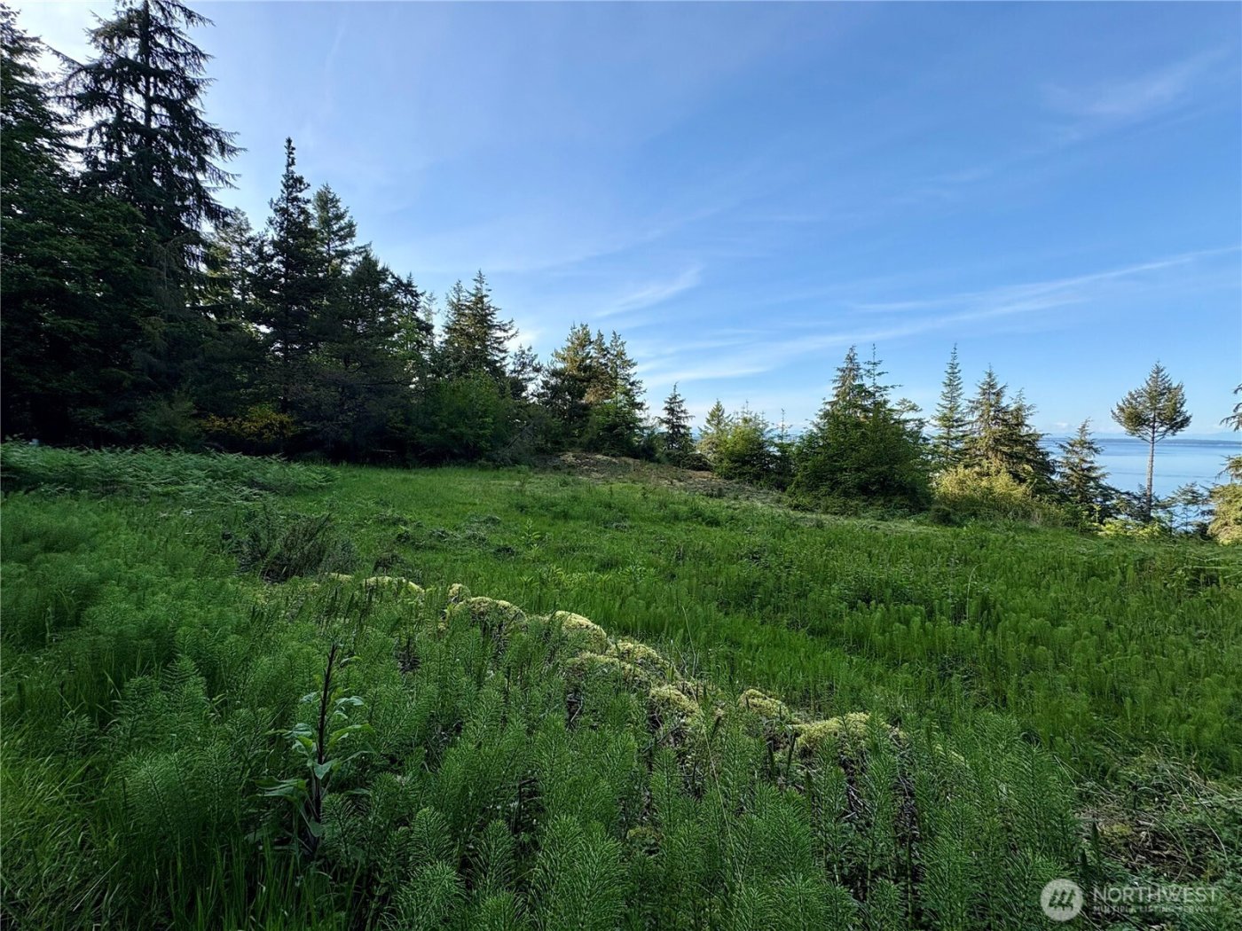 0 Raccoon Point Road #Lot 19, Orcas Island, WA 98245