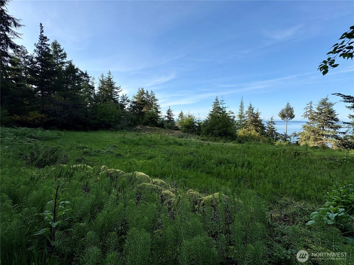 0 Raccoon Point Road #Lot 19, Orcas Island, WA 98245