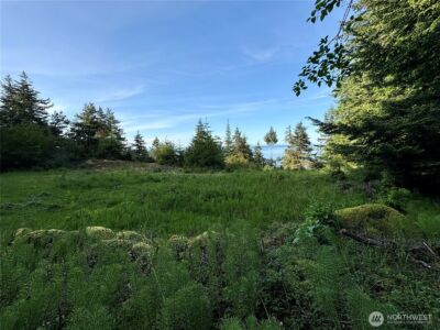 0 Raccoon Point Road #Lot 19, Orcas Island, WA 98245 - Photo 18