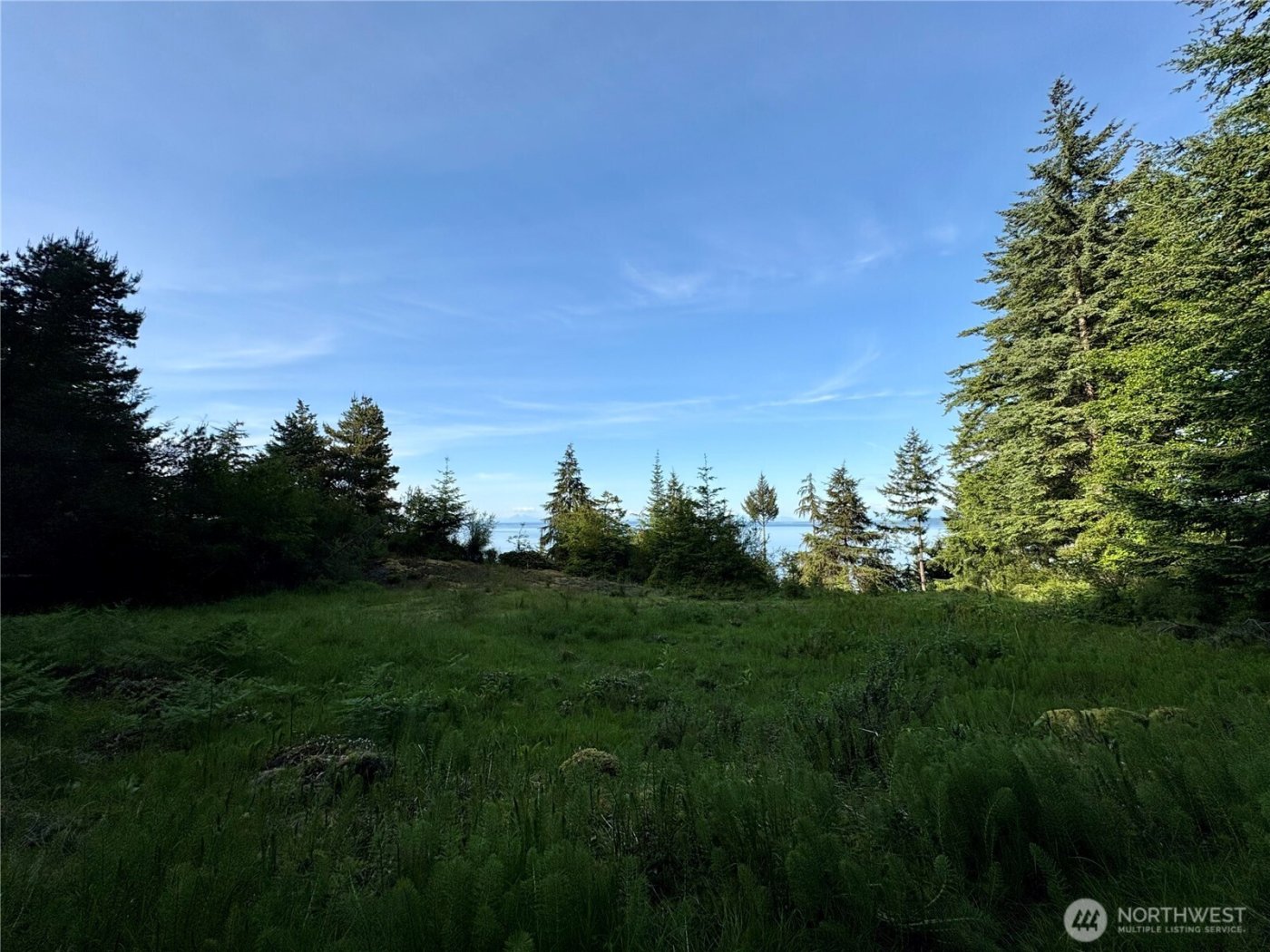 0 Raccoon Point Road #Lot 19, Orcas Island, WA 98245