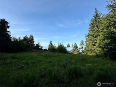 0 Raccoon Point Road #Lot 19, Orcas Island, WA 98245 - Photo 20