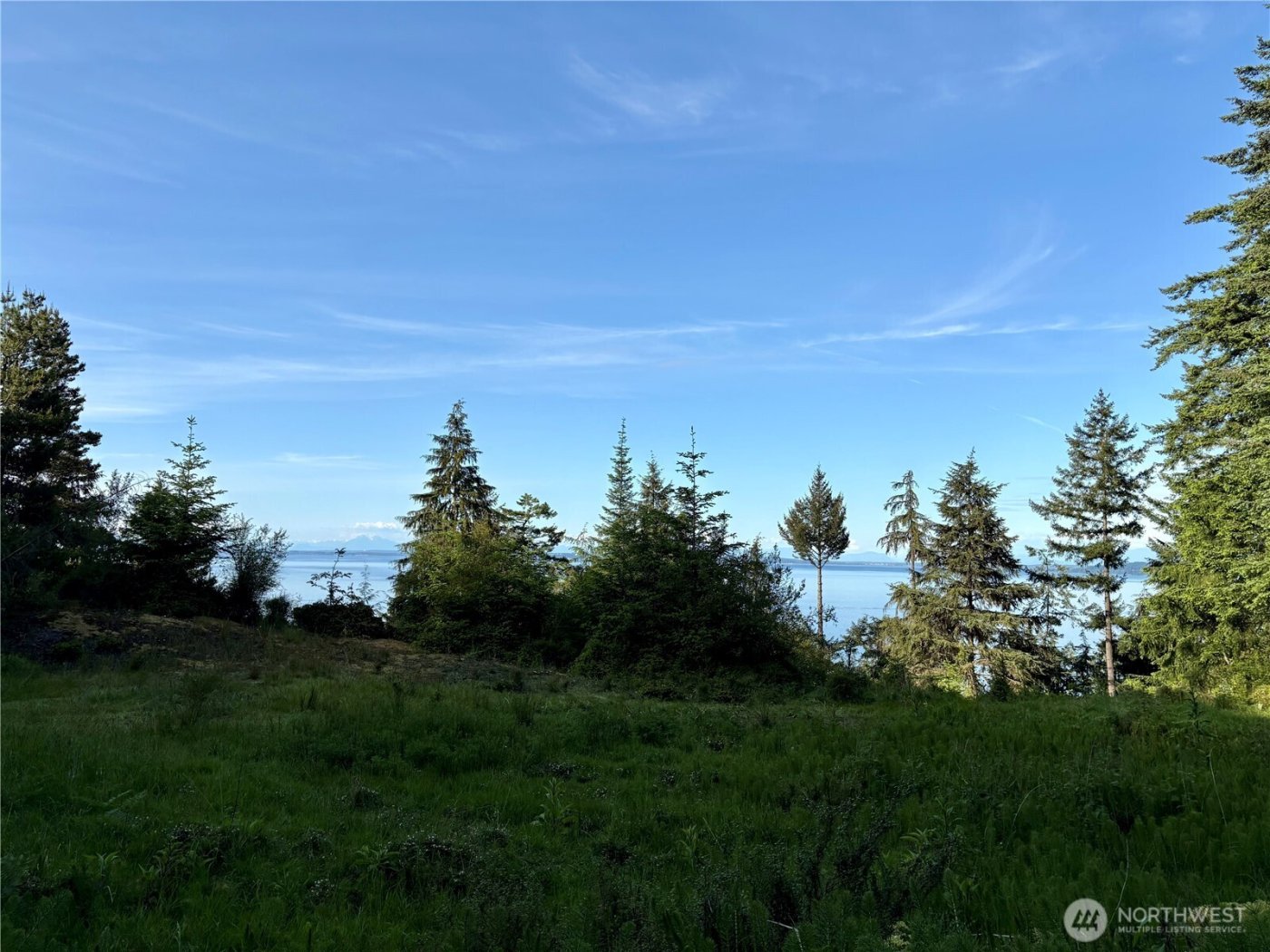 0 Raccoon Point Road #Lot 19, Orcas Island, WA 98245