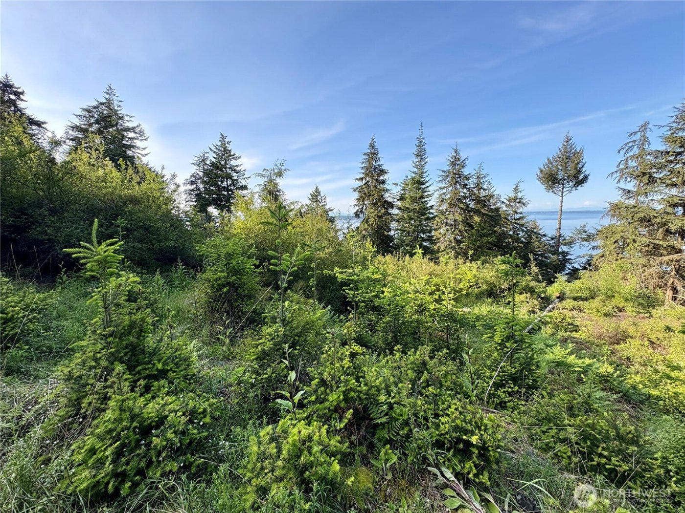 0 Raccoon Point Road #Lot 19, Orcas Island, WA 98245