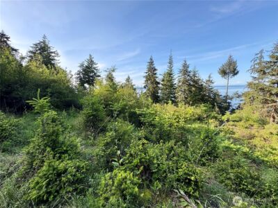 0 Raccoon Point Road #Lot 19, Orcas Island, WA 98245 - Photo 21