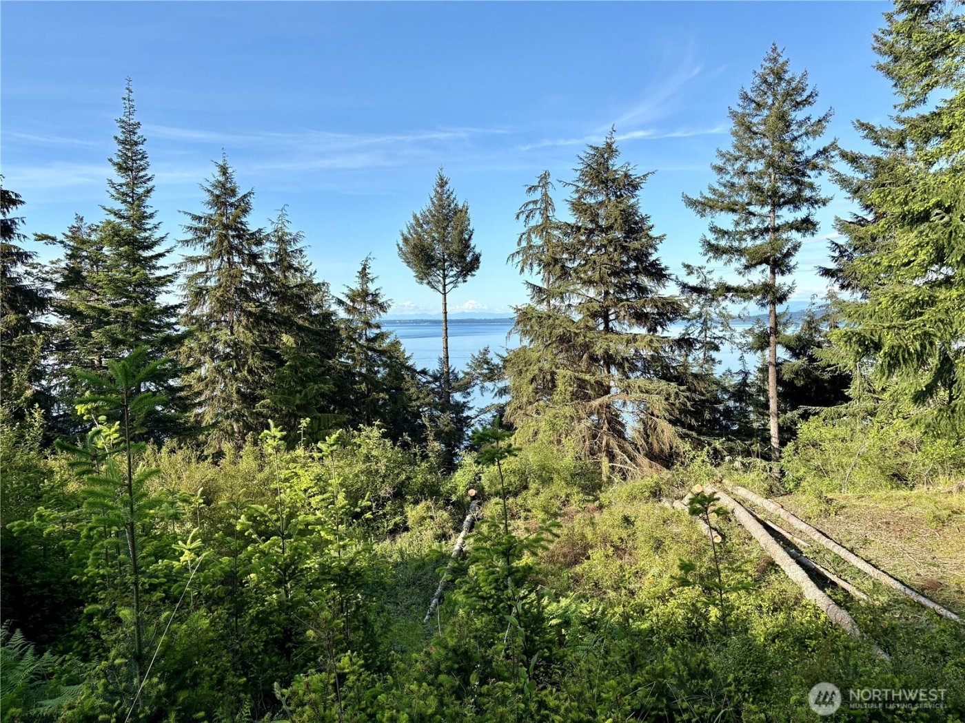 0 Raccoon Point Road #Lot 19, Orcas Island, WA 98245