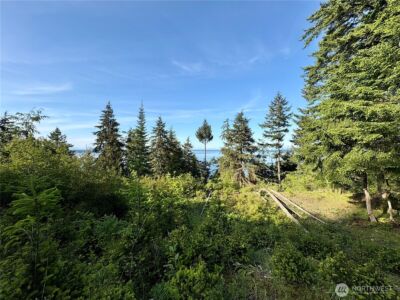 0 Raccoon Point Road #Lot 19, Orcas Island, WA 98245 - Photo 24