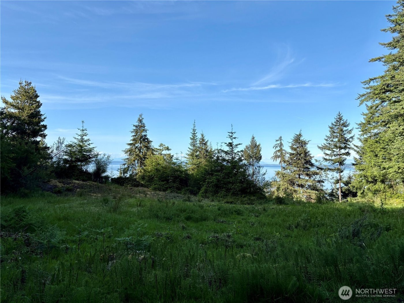 0 Raccoon Point Road #Lot 19, Orcas Island, WA 98245