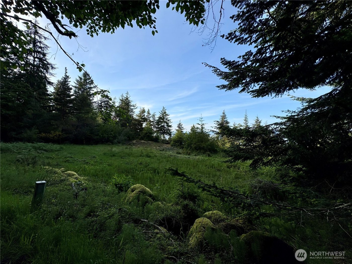 0 Raccoon Point Road #Lot 19, Orcas Island, WA 98245