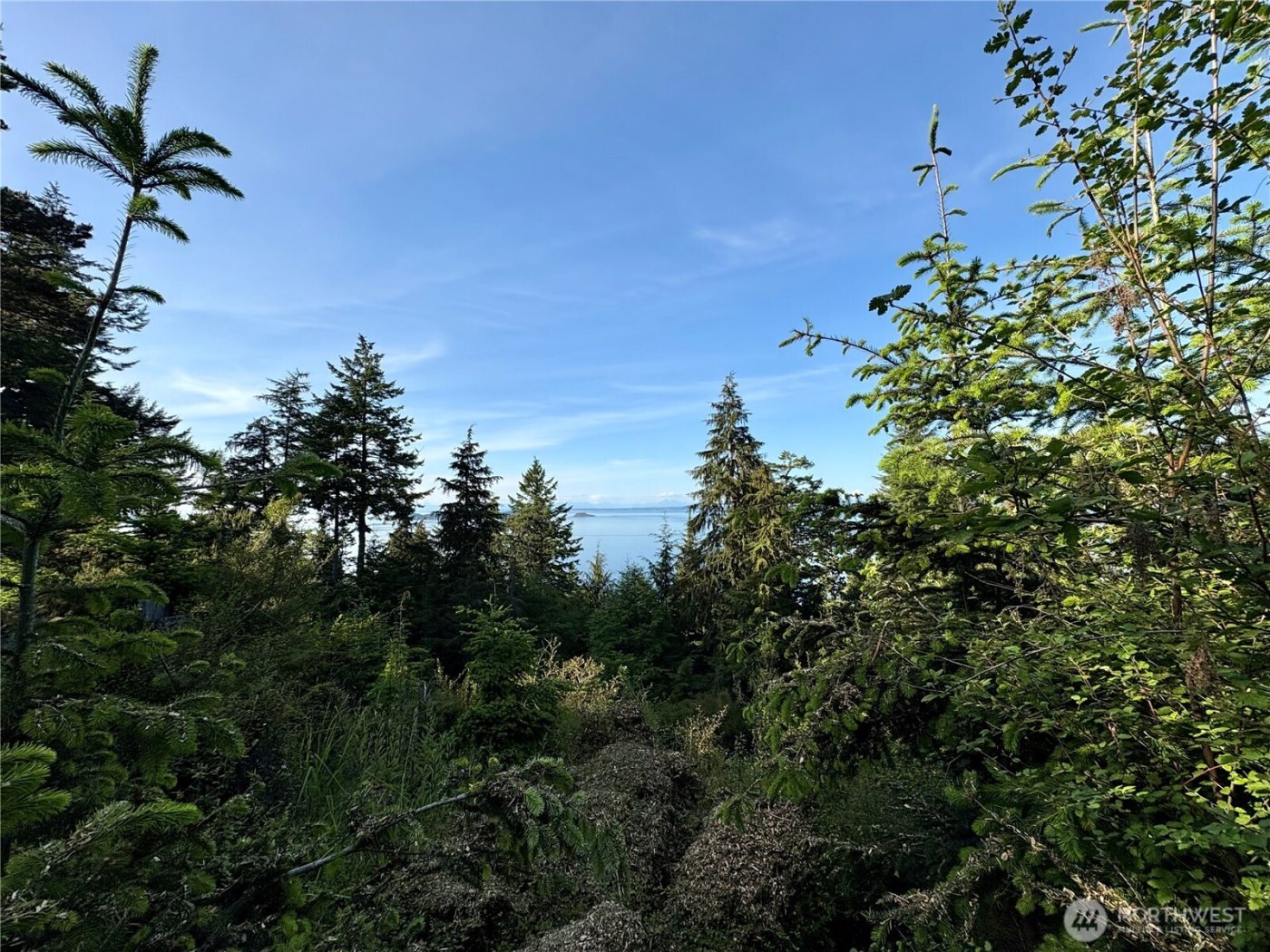 0 Raccoon Point Road #Lot 19, Orcas Island, WA 98245