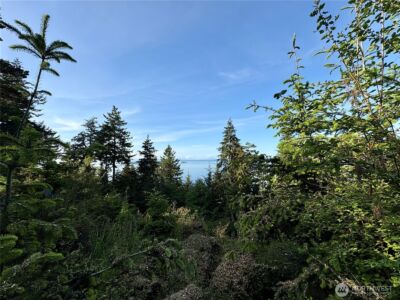 0 Raccoon Point Road #Lot 19, Orcas Island, WA 98245 - Photo 28