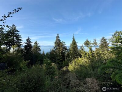0 Raccoon Point Road #Lot 19, Orcas Island, WA 98245 - Photo 29