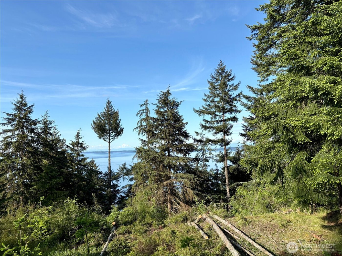0 Raccoon Point Road #Lot 19, Orcas Island, WA 98245