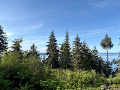 0 Raccoon Point Road #Lot 19, Orcas Island, WA 98245 - Photo 5