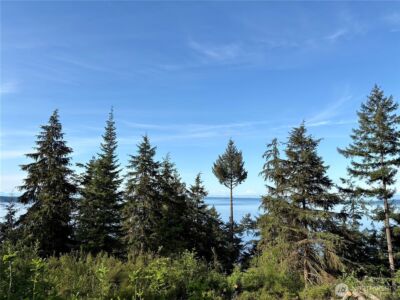 0 Raccoon Point Road #Lot 19, Orcas Island, WA 98245 - Photo 6