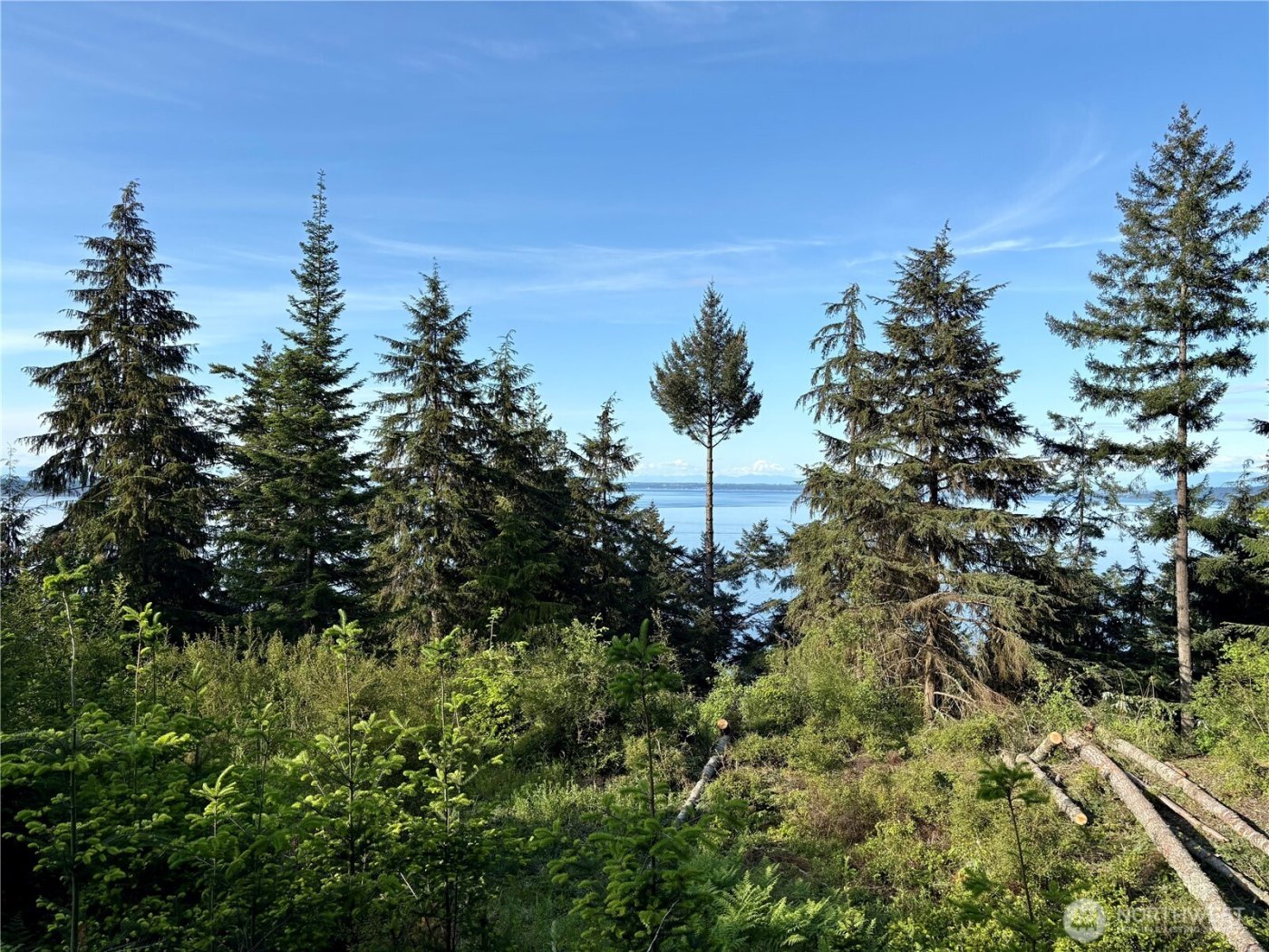 0 Raccoon Point Road #Lot 19, Orcas Island, WA 98245