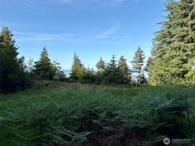 0 Raccoon Point Road #Lot 19, Orcas Island, WA 98245 - Photo 8