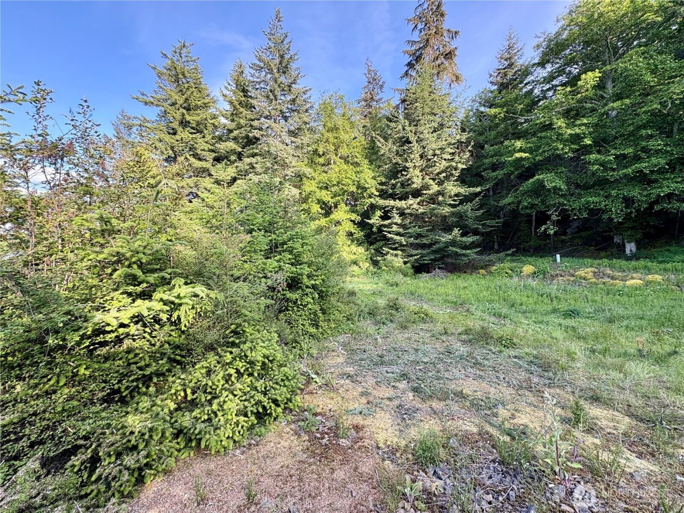 0 Raccoon Point Road #Lot 19, Orcas Island, WA 98245