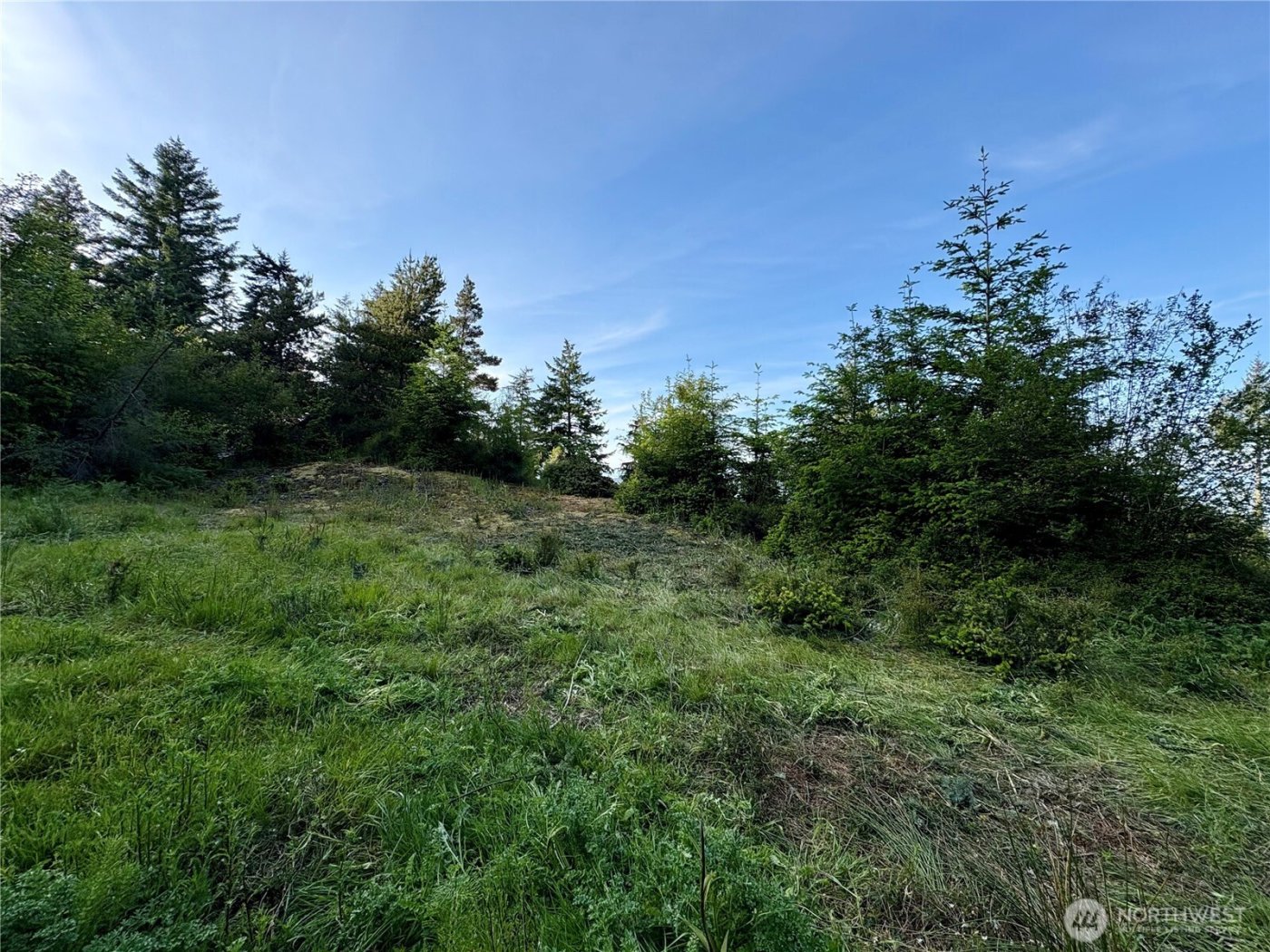 0 Raccoon Point Road #Lot 19, Orcas Island, WA 98245