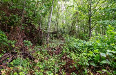 4 Sulphur Springs Lane , Bremerton, WA 98310