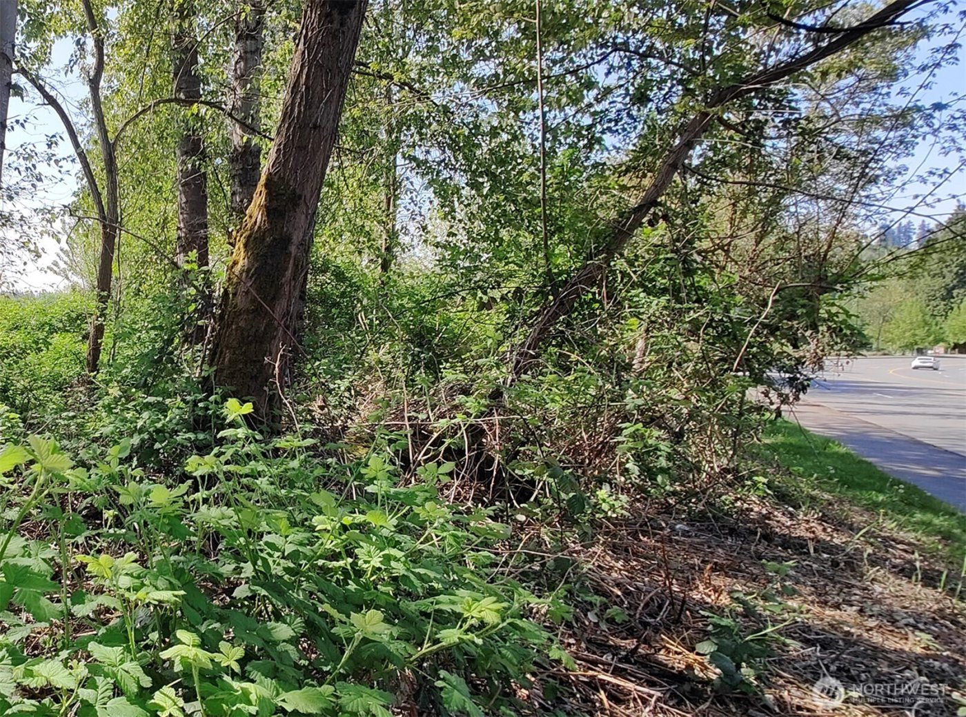 0 xxx 140th Avenue NE, Woodinville, WA 98072