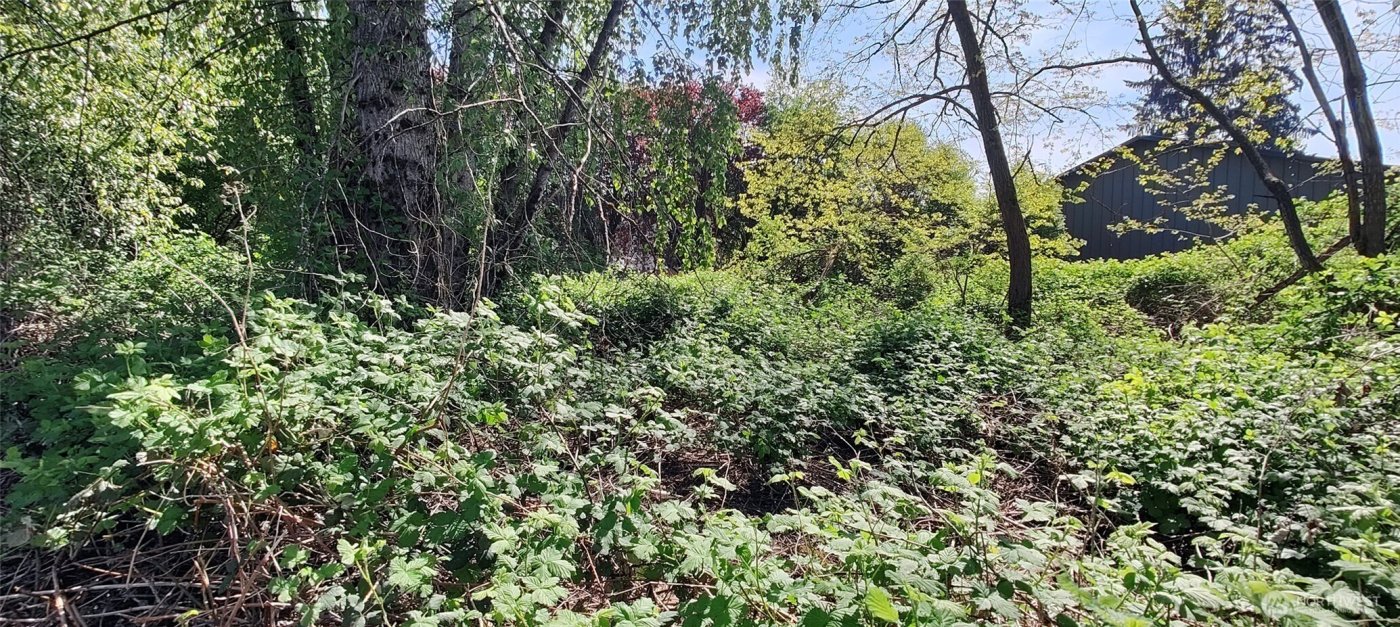 0 xxx 140th Avenue NE, Woodinville, WA 98072