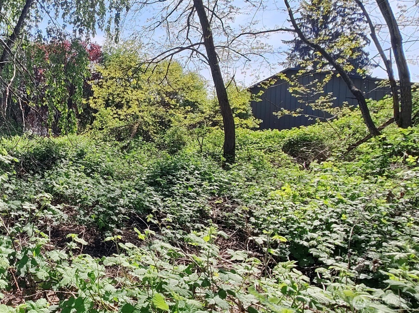 0 xxx 140th Avenue NE, Woodinville, WA 98072