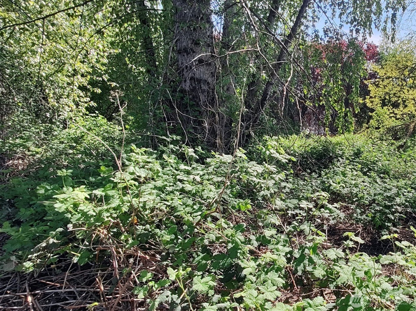 0 xxx 140th Avenue NE, Woodinville, WA 98072