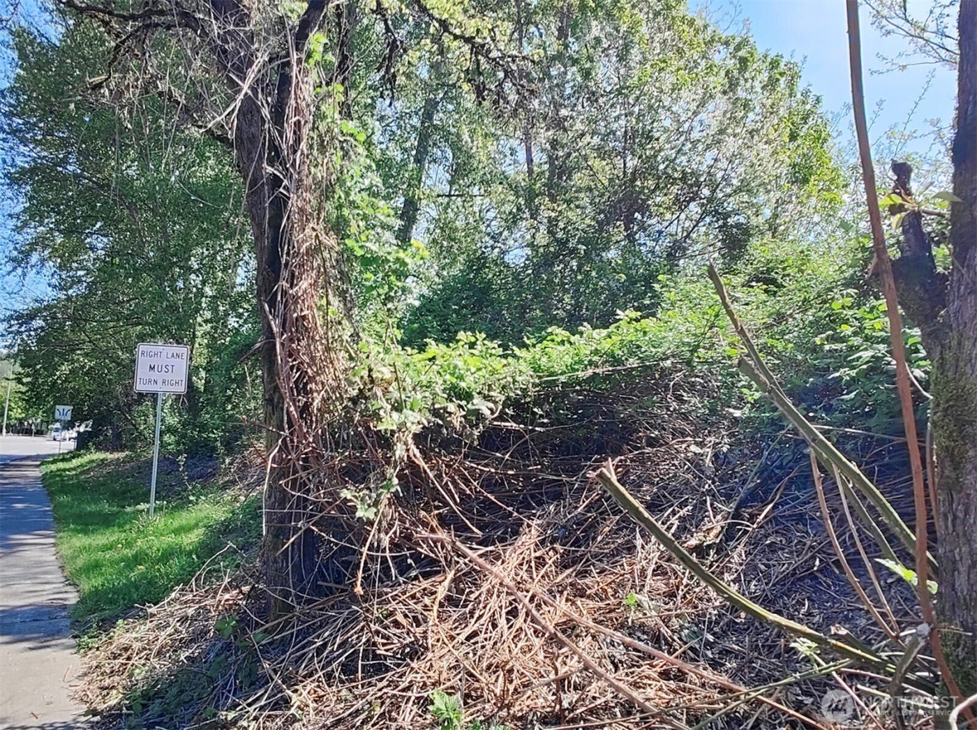 0 xxx 140th Avenue NE, Woodinville, WA 98072