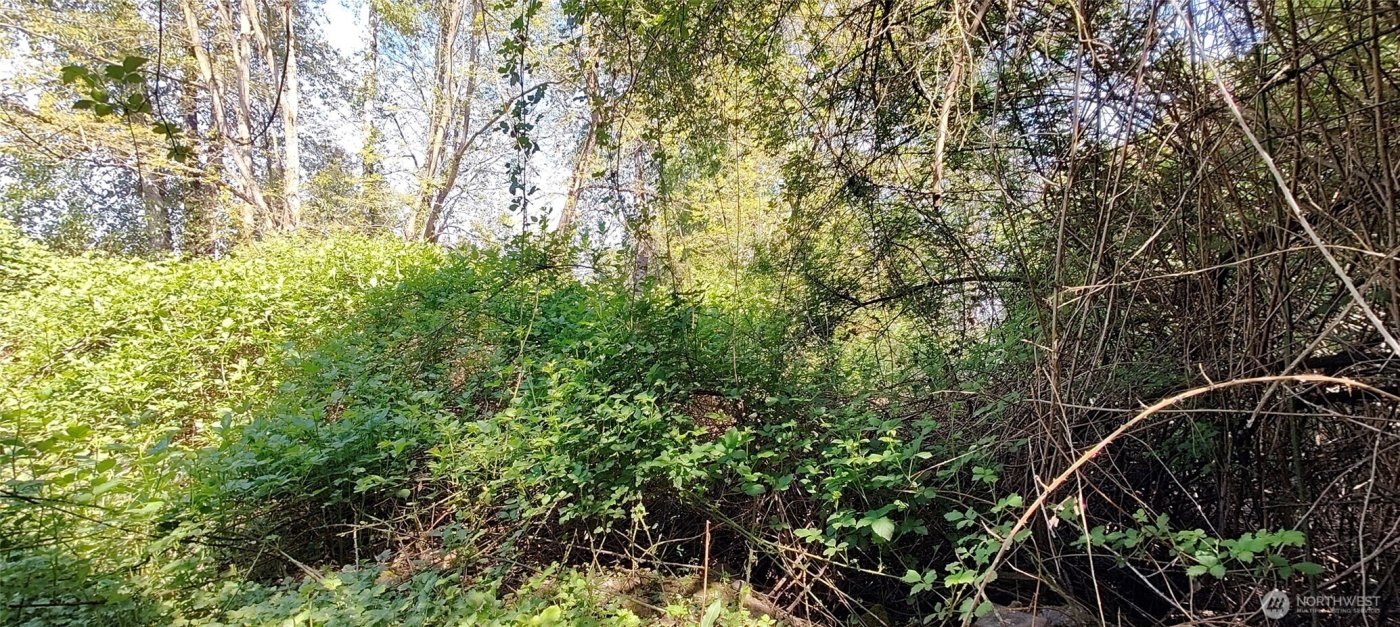 0 xxx 140th Avenue NE, Woodinville, WA 98072