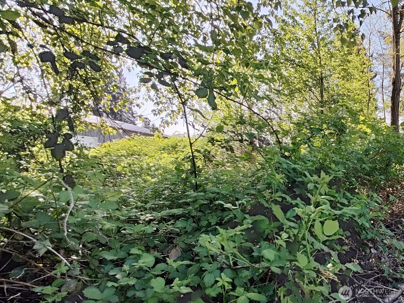 0 xxx 140th Avenue NE, Woodinville, WA 98072