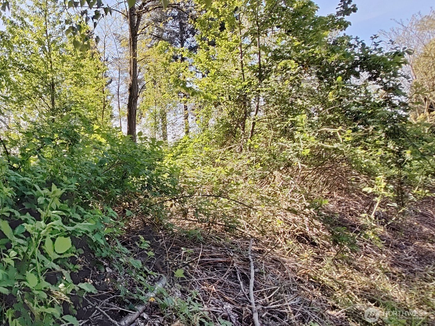 0 xxx 140th Avenue NE, Woodinville, WA 98072