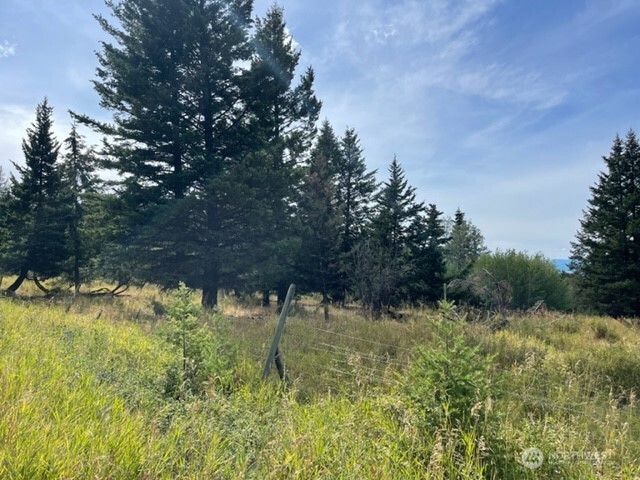 111 TBD Davies Road , Oroville, WA 98844