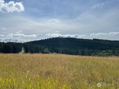 111 TBD Davies Road , Oroville, WA 98844 - Photo 11