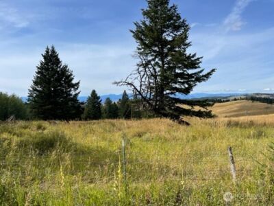 111 TBD Davies Road , Oroville, WA 98844 - Photo 12